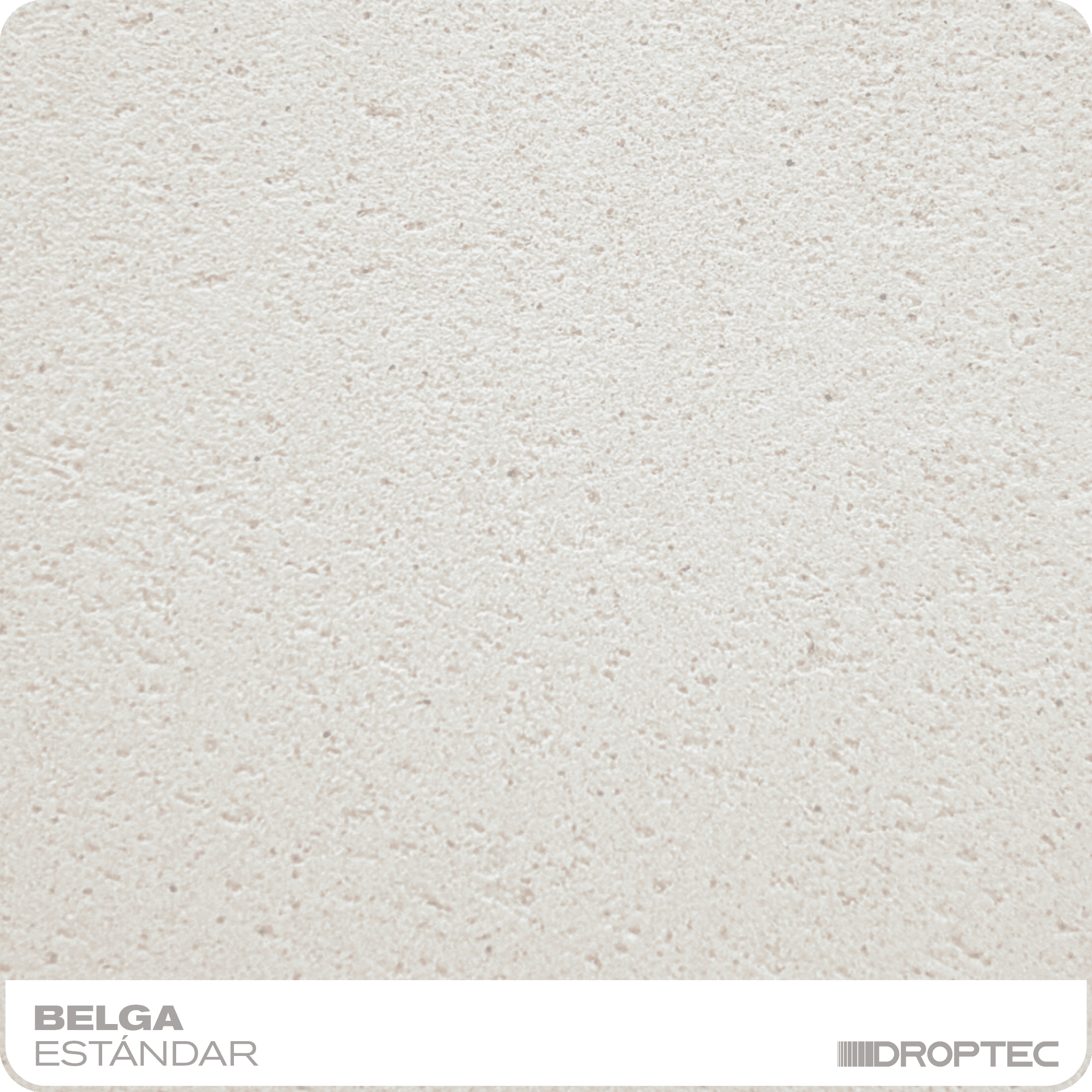 BELGA BELGA - Imagen 1